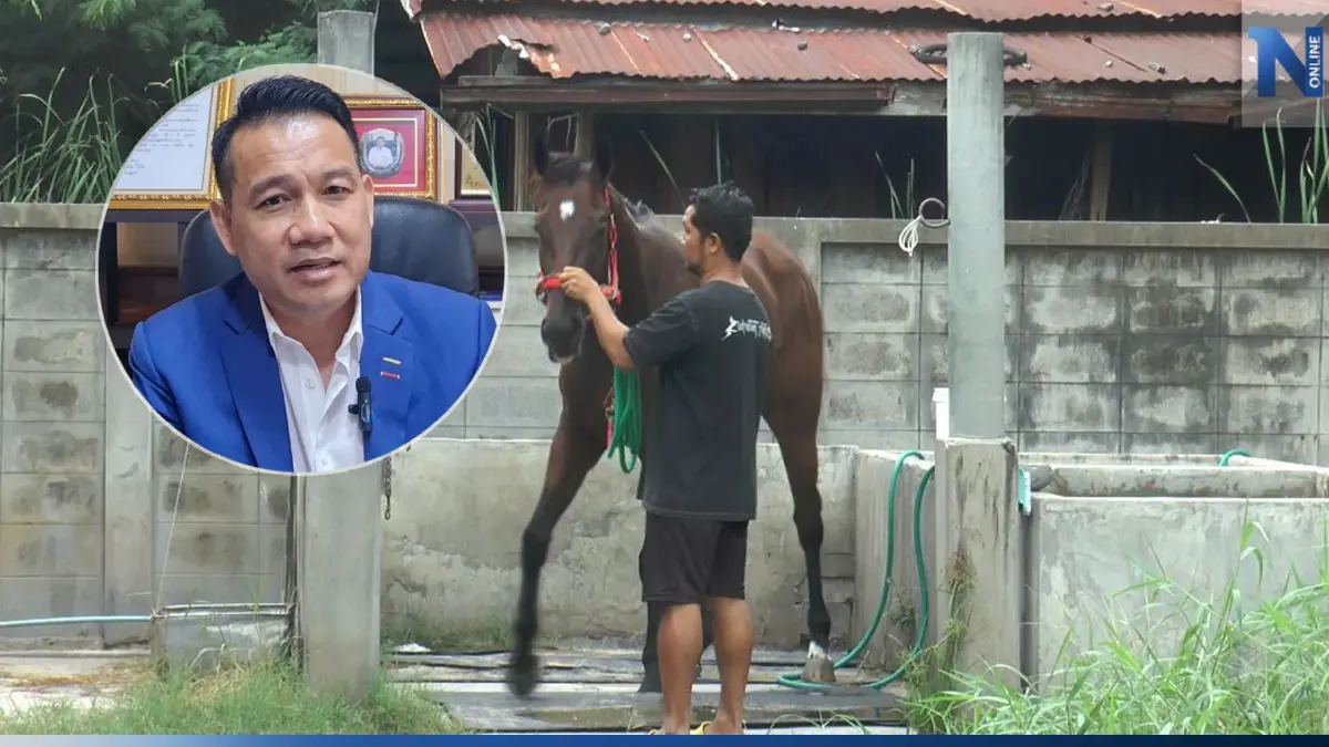 ส.ม้าแข่งโคราช หนุนผลักดันกีฬาแข่งสัตว์พื้นบ้าน เป็นซอฟต์พาวเวอร์