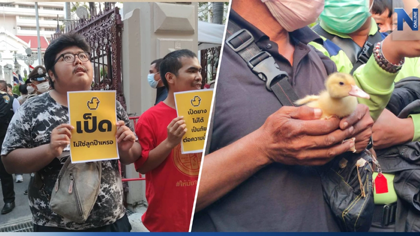 มวลชนอุ้มเป็ดประท้วงตร. คุกคามกิจกรรมสนามหลวง