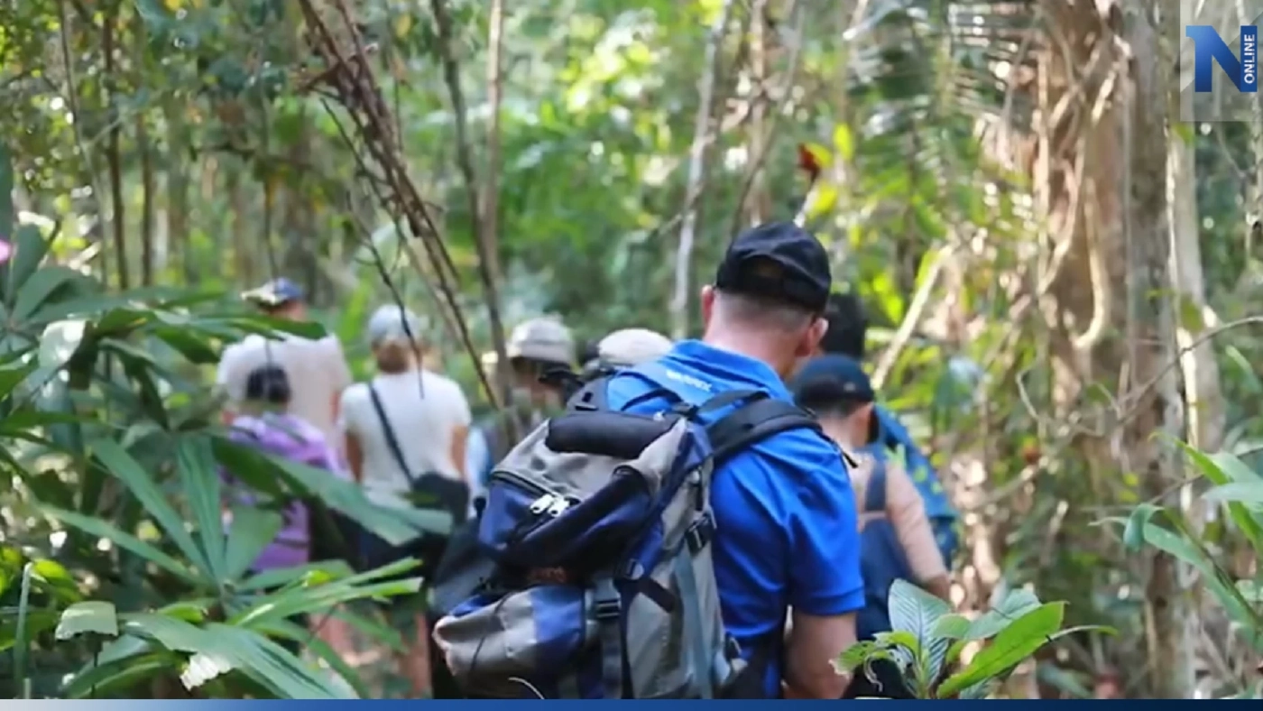 วังน้ำเขียวคึกคัก นักท่องเที่ยวสวีเดนแห่ชมผืนป่า ตื่นตาฝูงกระทิง