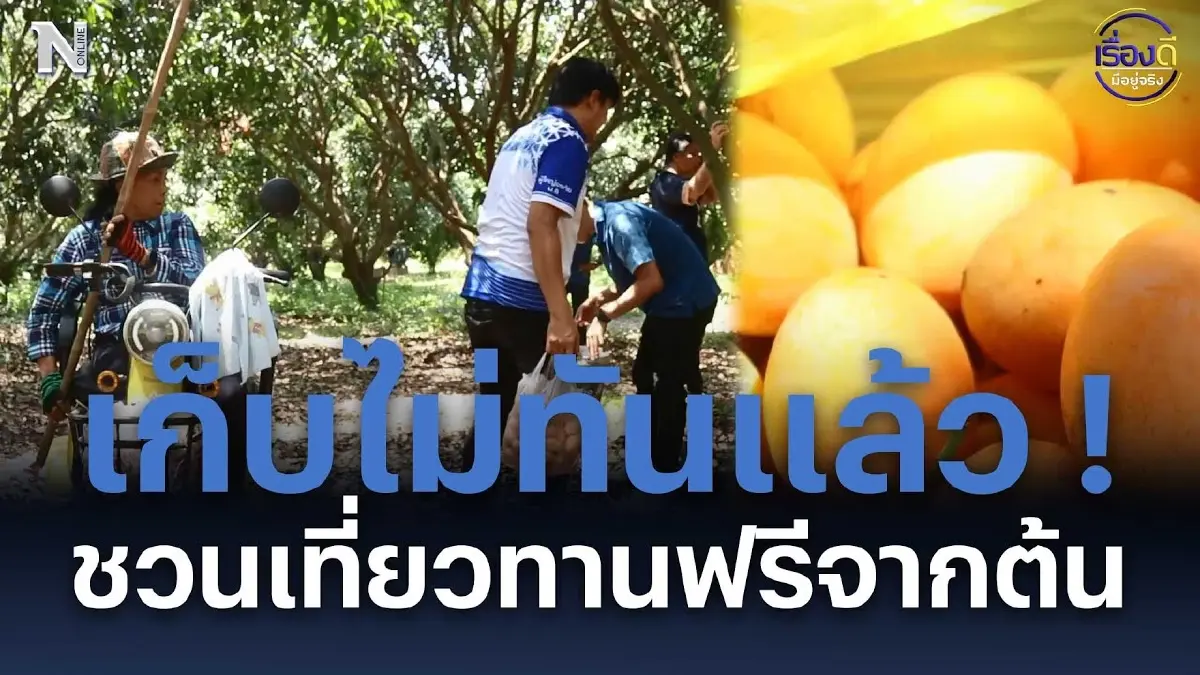 เก็บไม่ทันแล้ว ! ชวนเที่ยวทานฟรีจากต้น เก็บไม่ทันแล้ว ! ชวนเที่ยวทานฟรีจากต้น