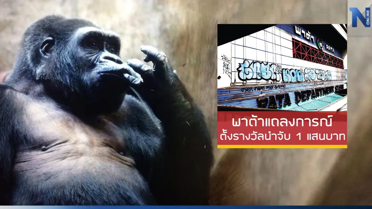 สวนสัตว์พาต้า ตั้งรางวัล 1 แสน ล่าคนทำลายทรัพย์-ร้องปล่อย‘บัวน้อย’ผิดหลัก