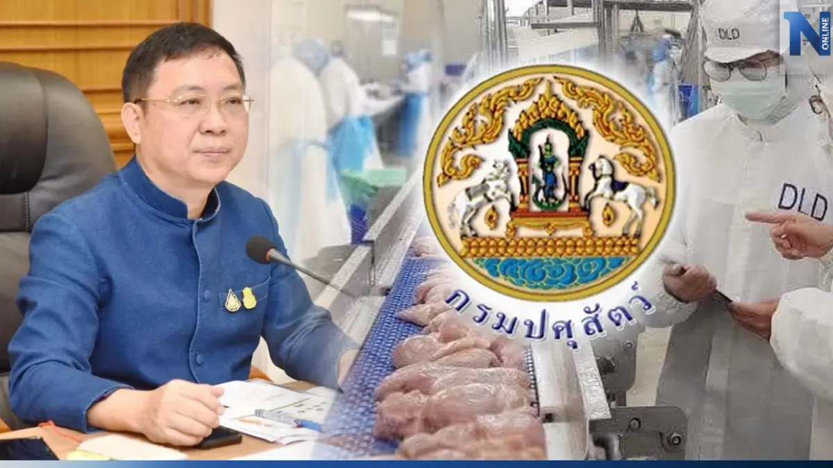 "ปศุสัตว์"ยกคุณภาพมาตรฐานไก่ไทยสู่ครัวโลก ดันส่งออกโปร่งใส ตรวจสอบได้ "ปศุสัตว์"ยกคุณภาพมาตรฐานไก่ไทยสู่ครัวโลก ดันส่งออกโปร่งใส ตรวจสอบได้