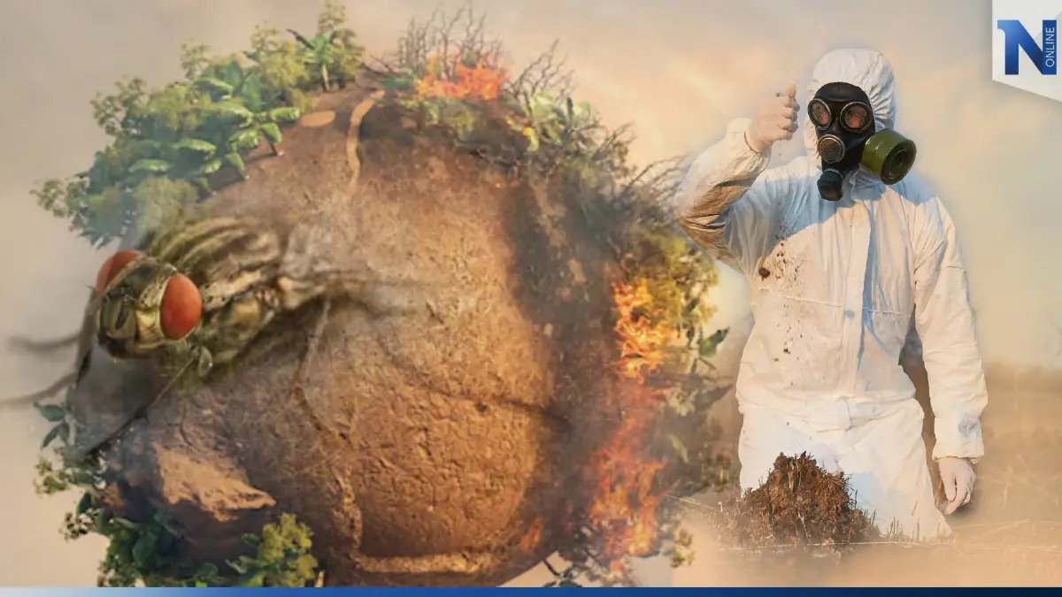 Global Warming : ภาวะโลกร้อน…ซ่อนโรคร้าย Global Warming : ภาวะโลกร้อน…ซ่อนโรคร้าย