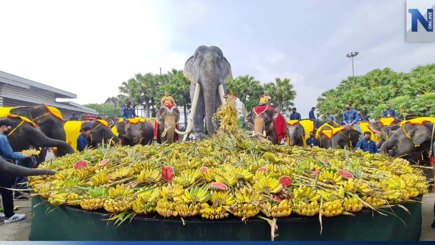 สวนนงนุชพัทยา ทำพิธีฮ้องขวัญช้าง พร้อมจัดโต๊ะจีนผลไม้ เฉลิมฉลองวันช้างไทย