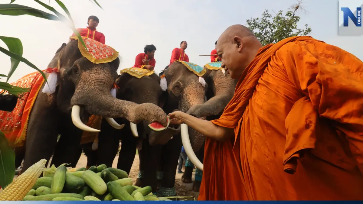 "วันช้างไทย" วังช้างอยุธยา จี้พรรคการเมืองมีนโยบายดูแล"ช้างไทย" "วันช้างไทย" วังช้างอยุธยา จี้พรรคการเมืองมีนโยบายดูแล"ช้างไทย"