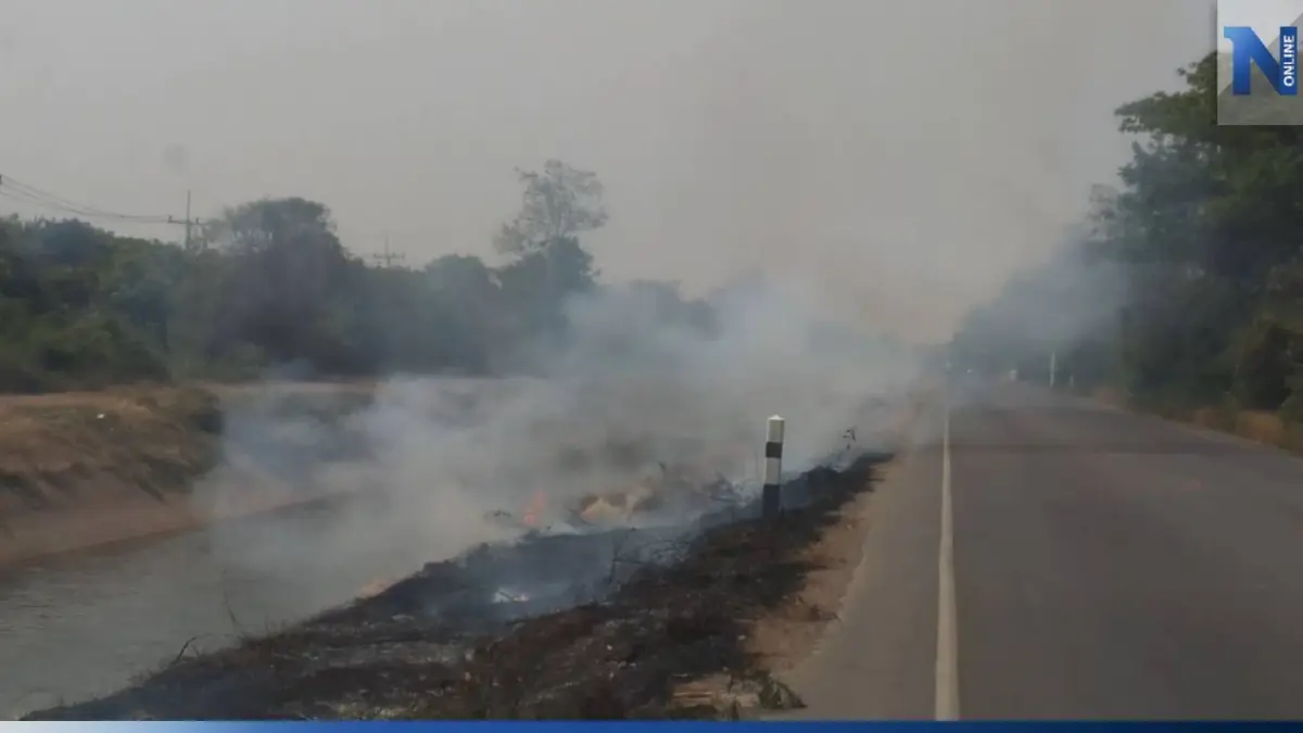 มือดีจุดไฟเผาหญ้าข้างทาง ควันปกคลุมถนนทำฝุ่น PM 2.5 พุ่ง มือดีจุดไฟเผาหญ้าข้างทาง ควันปกคลุมถนนทำฝุ่น PM 2.5 พุ่ง