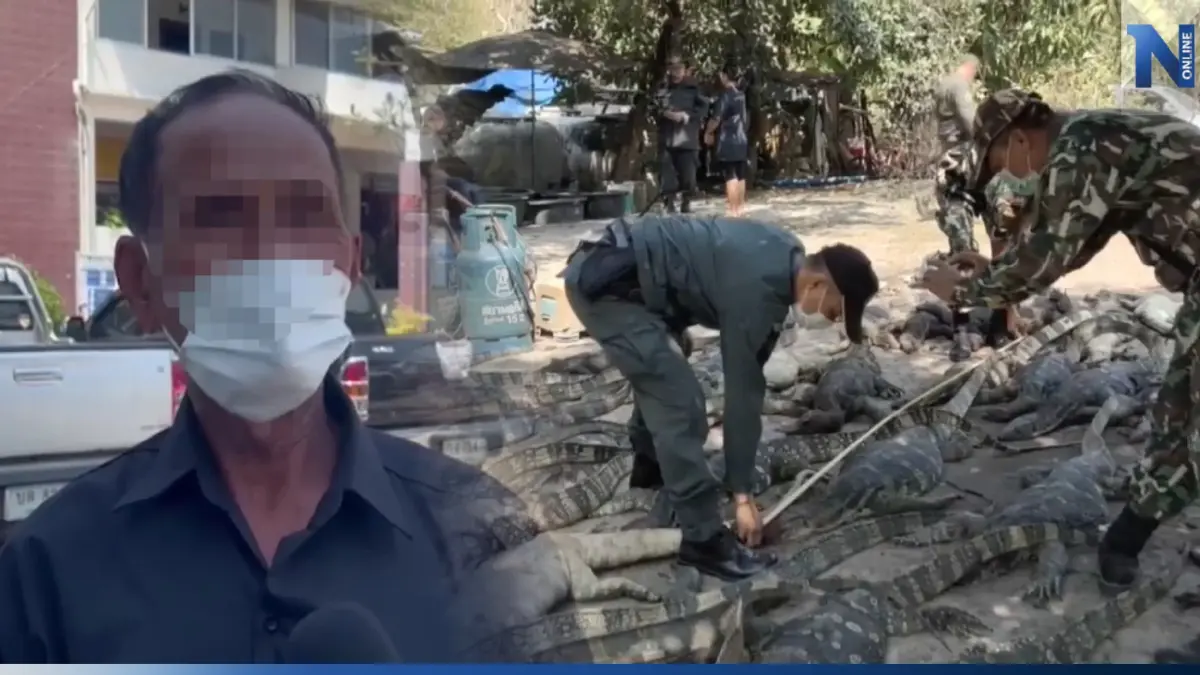 คนชำแหละยืนยัน "เนื้อเหี้ย" ไม่มีใครทำลูกชิ้น - หนังทอดกรอบ เหตุแพงไม่คุ้ม คนชำแหละยืนยัน "เนื้อเหี้ย" ไม่มีใครทำลูกชิ้น - หนังทอดกรอบ เหตุแพงไม่คุ้ม