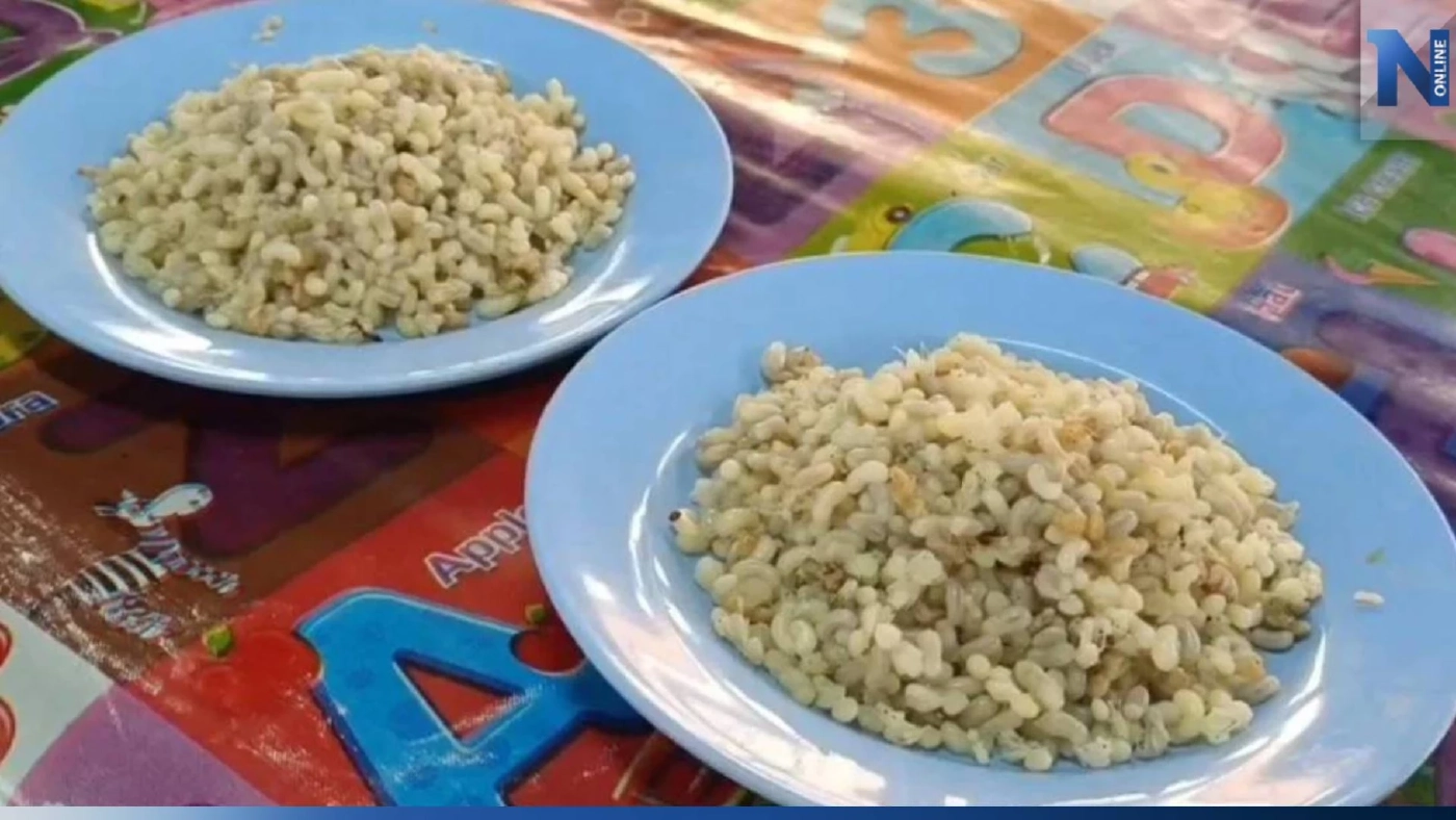 "ไข่มดแดง" ราคาพุ่ง กก.ละ 500 บาท เป็นที่ต้องการของตลาด มีเท่าไหร่ก็ไม่พอขาย