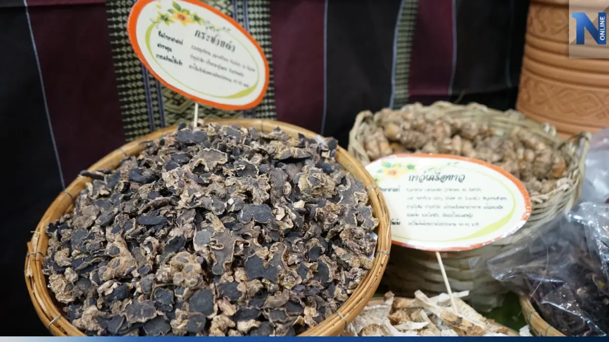 ประกาศ 15 สมุนไพร เป็น Herbal Champions ประกาศ 15 สมุนไพร เป็น Herbal Champions