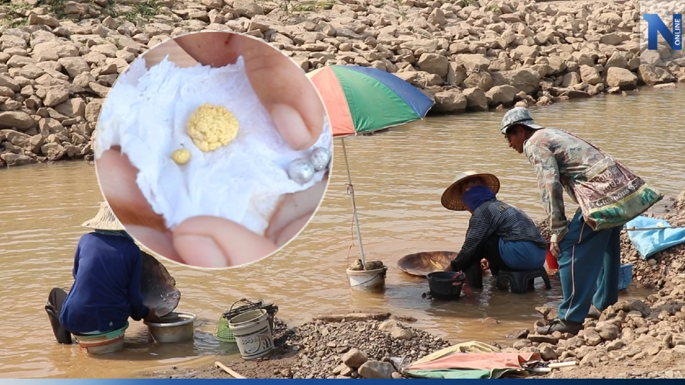 น้ำโขงแห้ง ชาวบ้านปากชม แห่ร่อนทอง สร้างรายได้งาม วันละ 1 พันบาท