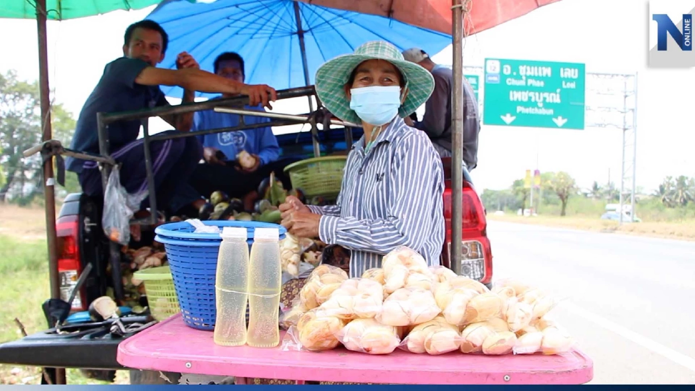 อาชีพเสริม! ขายลูกตาลสดช่วงหน้าร้อน โกยรายได้ 2 หมื่นบาทต่อเดือน