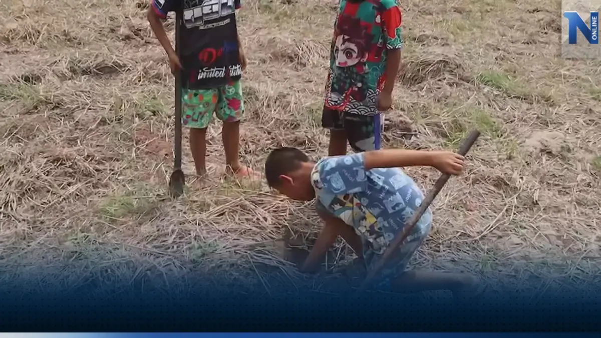 วัยรุ่นฟันน้ำนมขุด 'ปูนา' ที่อยู่ในรูขายแลกเงินร้อย!