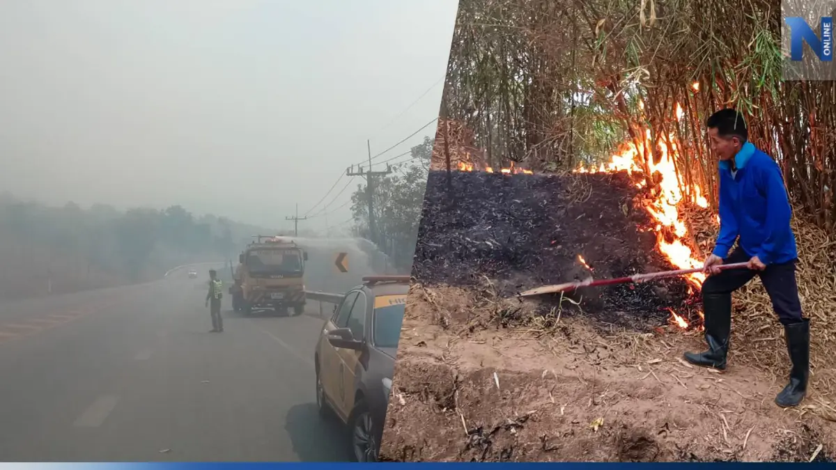 ไฟป่าพ่นพิษ เมืองเลยค่าฝุ่น"PM2.5"พุ่งสูง ส่งผลกระทบกับสุขภาพ ไฟป่าพ่นพิษ เมืองเลยค่าฝุ่น"PM2.5"พุ่งสูง ส่งผลกระทบกับสุขภาพ