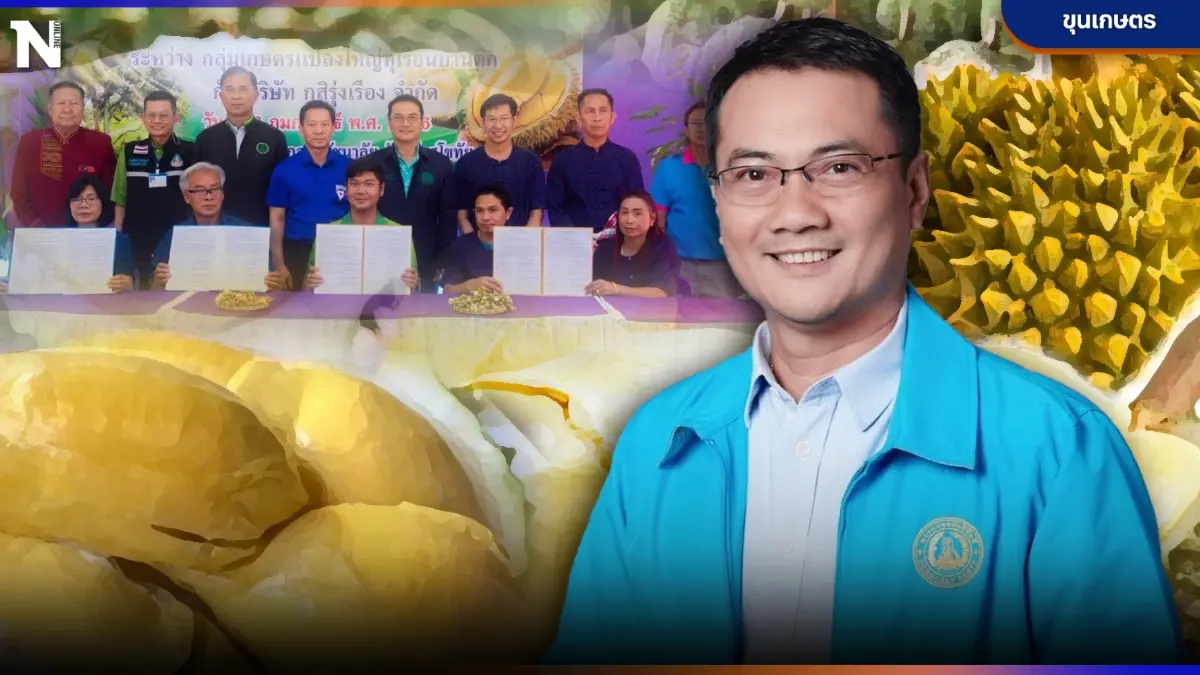 "หมอนพระร่วง" ทุเรียนดีที่ศรีสัชนาลัย  เจาะประเด็นเด่น  โดย "ขุนเกษตร"