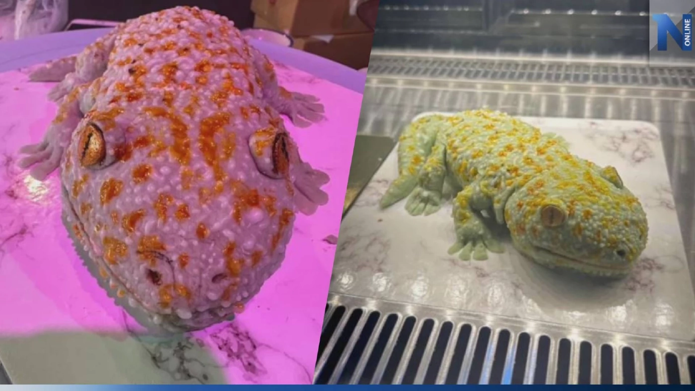 ขนลุก! "เค้กตุ๊กแก" ออเดอร์แปลก ลูกค้าขอมา ทางร้านจัดให้