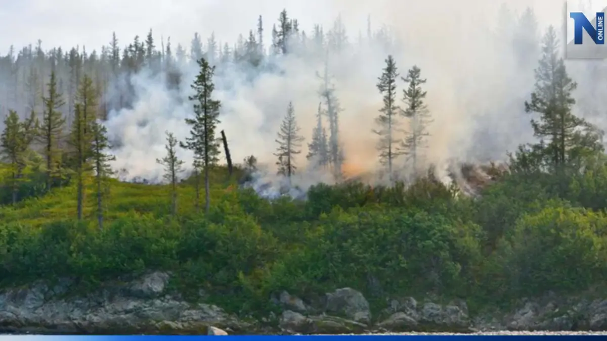 ปกป้องป่าด้วย 'แนวกันไฟ' ตัวช่วยลดการสูญเสียทรัพยากร