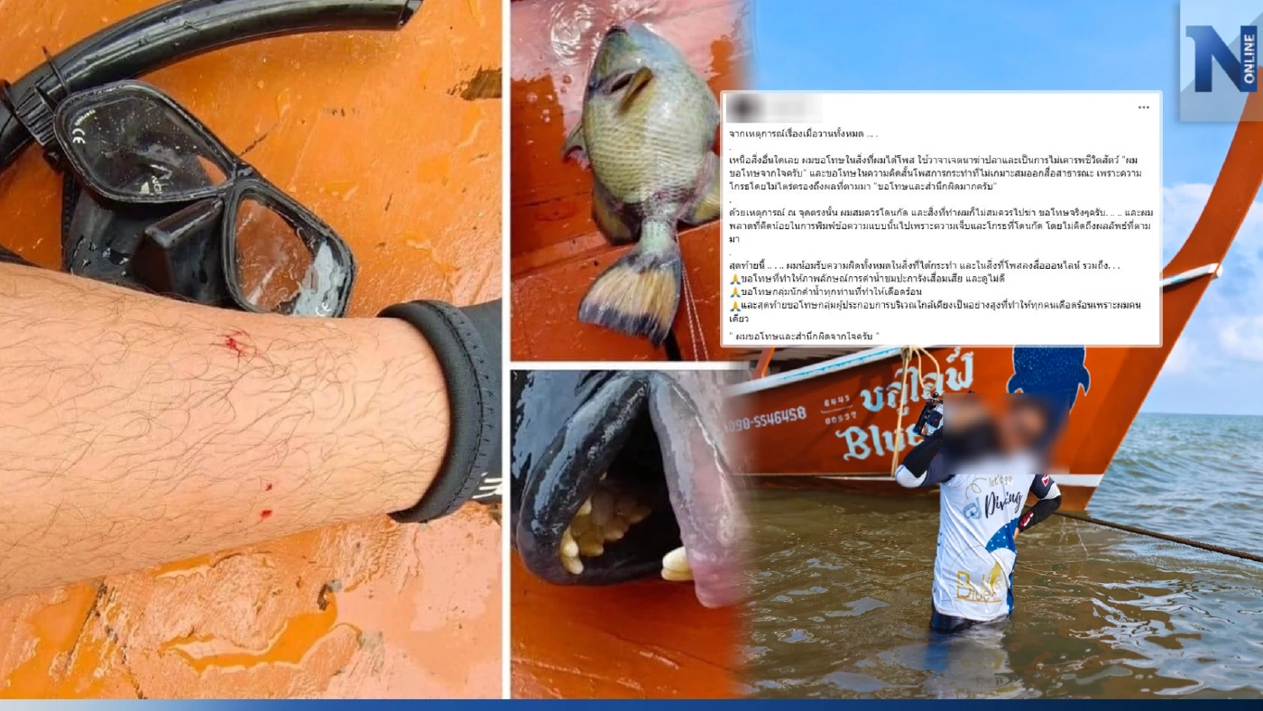 ครูสอนดำน้ำ โพสต์ขอโทษ ฆ่า "ปลาวัวไททัน" ยอมรับคิดน้อย เพราะโกรธที่โดนกัด