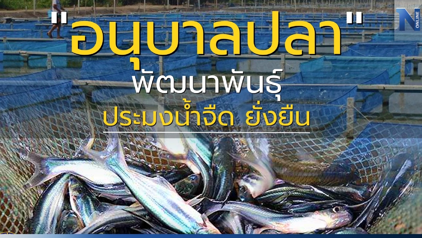 "กรมประมง"เร่งเครื่องยกระดับประมงชุมชนสร้างรายได้อย่างยั่งยืน "กรมประมง"เร่งเครื่องยกระดับประมงชุมชนสร้างรายได้อย่างยั่งยืน