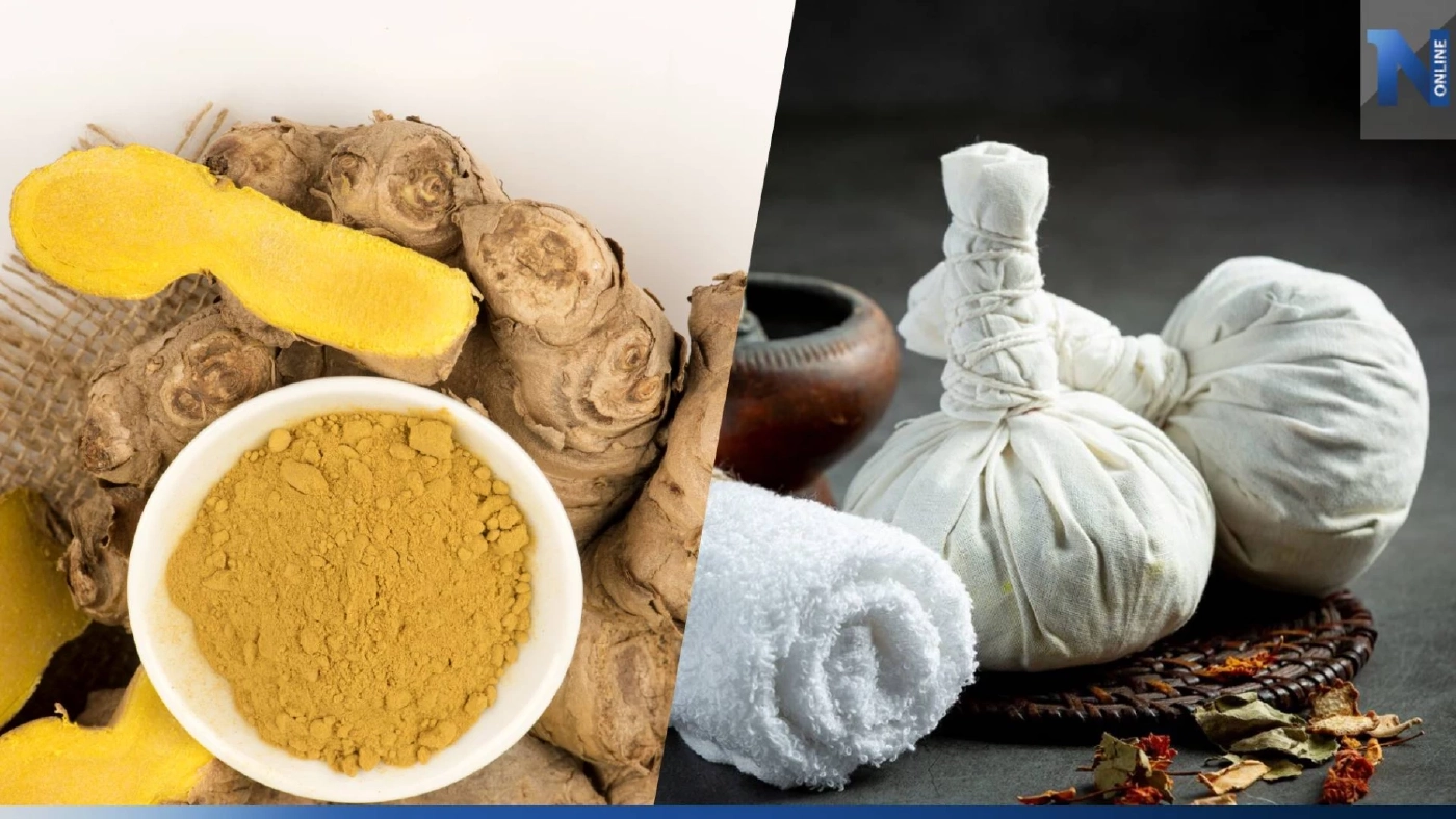 กรมส่งเสริมการค้าฯ หนุนส่งออก“สมุนไพรทำจากไพล” เจาะตลาดเกาหลีใต้