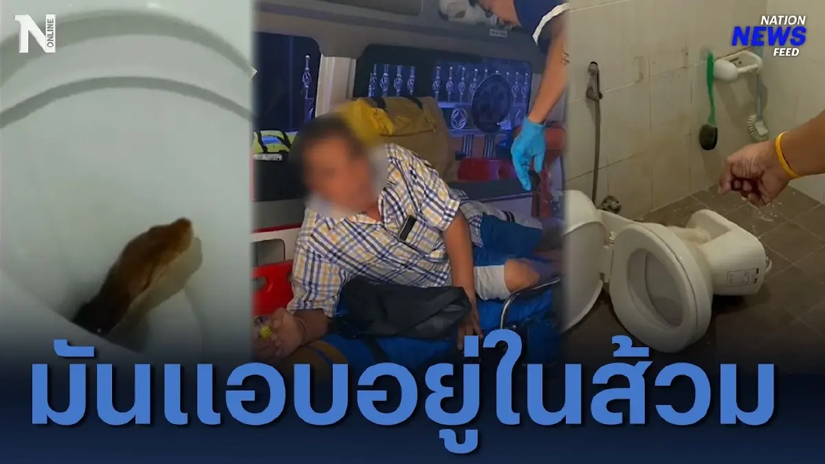ลุงช็อก! นั่งปลดทุกข์ ดันได้ทุกข์มาแทน ถูกงูฉกเต็มๆ เข้ารูทวาร ลุงช็อก! นั่งปลดทุกข์ ดันได้ทุกข์มาแทน ถูกงูฉกเต็มๆ เข้ารูทวาร