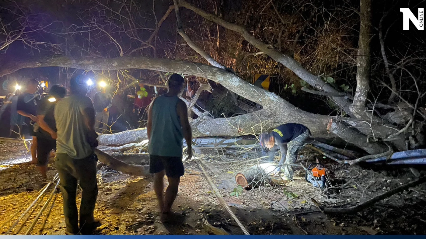 ไฟป่าแม่ฮ่องสอนลามหนัก ไหม้ต้นไม้ล้มทับเสาไฟฟ้าหัก ขวางการจราจร