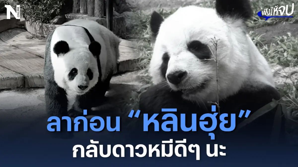 ลาก่อน “หลินฮุ่ย” เดินทางกลับดาวหมีดีๆ นะ