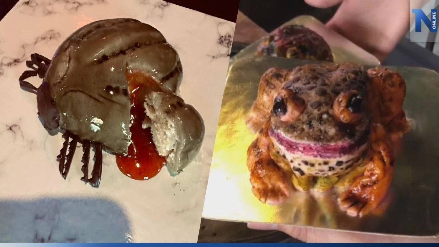 ยอดขายพุ่ง! เค้กเห็บหมา-คางคก เจ้าของร้านเผย ทำเองยังขนลุก