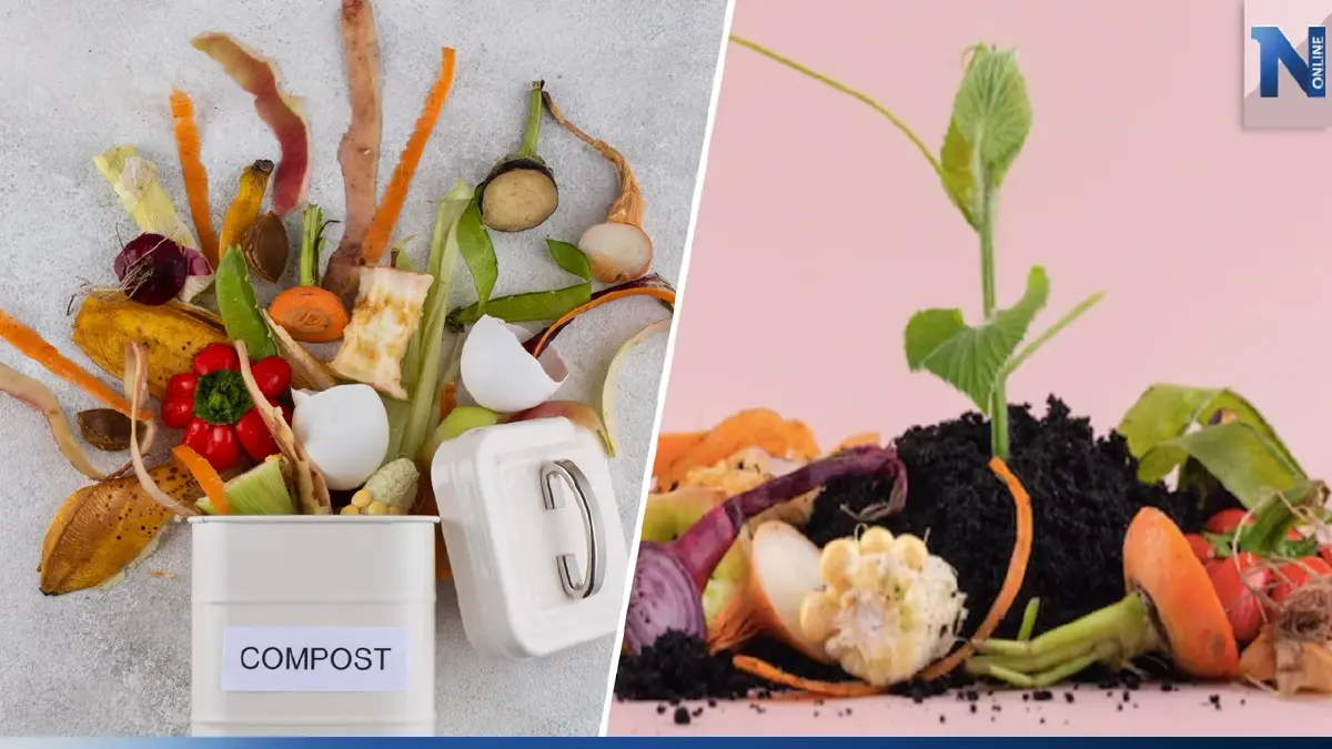 How to ทิ้ง : ลด Food Waste อาหารขยะตัวการทำโลกร้อน How to ทิ้ง : ลด Food Waste อาหารขยะตัวการทำโลกร้อน