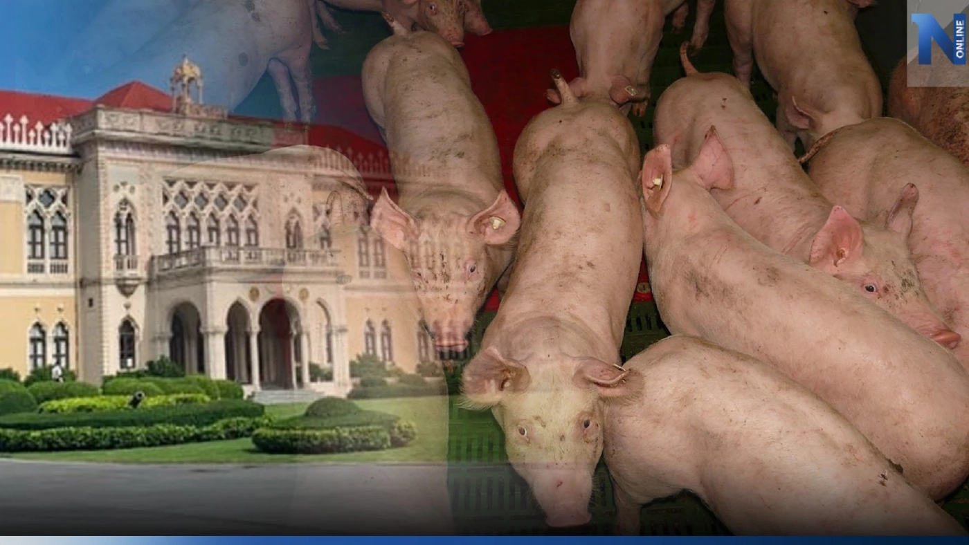 อึ้ง"หมูเถื่อน" 4.5 ล้านกก.ทะลักหนัก คนเลี้ยงหมูสาหัส นัดรวมพลบุกทำเนียบฯ