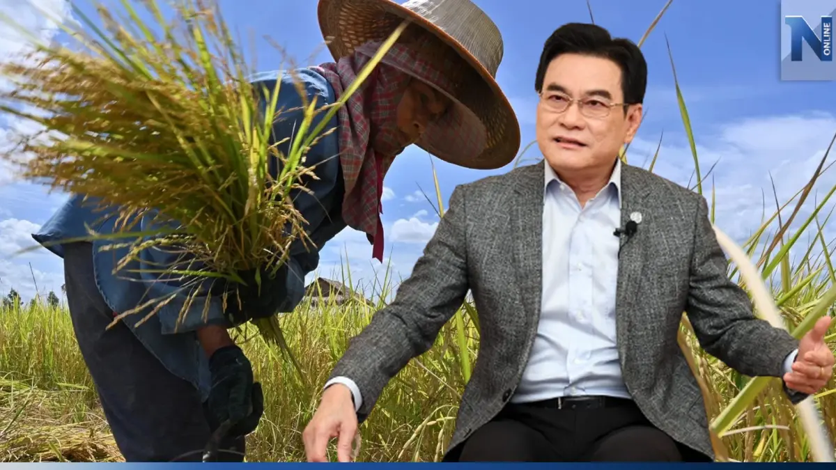 "จุรินทร์" แจ้งข่าวดีชาวนา 3 พ.ค.นี้ เงินประกันรายได้ข้าว งวด 29 เข้ากระเป๋า "จุรินทร์" แจ้งข่าวดีชาวนา 3 พ.ค.นี้ เงินประกันรายได้ข้าว งวด 29 เข้ากระเป๋า