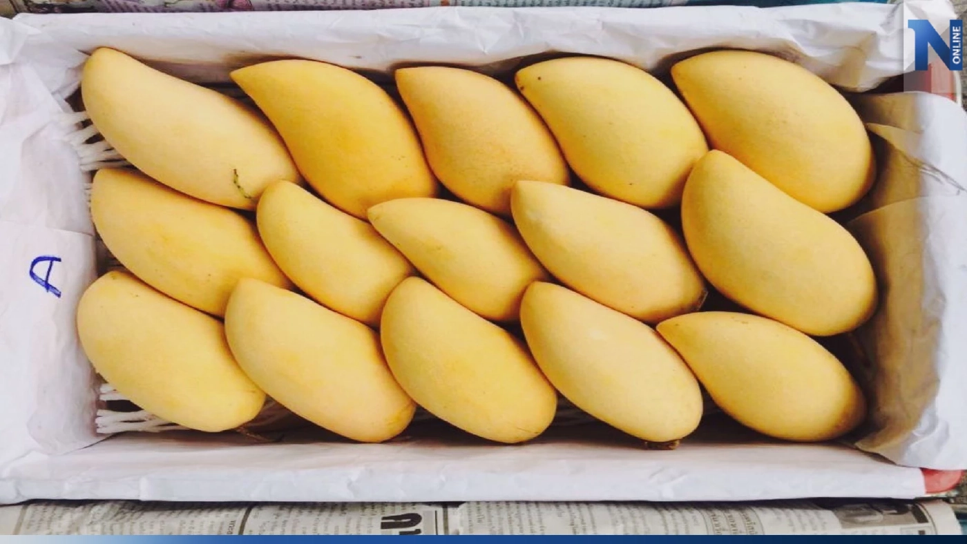 ประเทศไทยส่ง 'มะม่วงน้ำดอกไม้สีทอง' บุกฝรั่งเศส