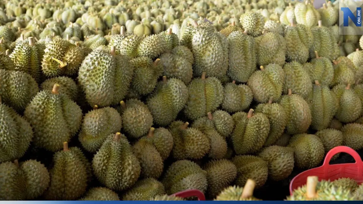 คต. แนะผู้ส่งออกทุเรียน ขอรับรองถิ่นกำเนิดสินค้า ใช้สิทธิลดภาษี FTA 
