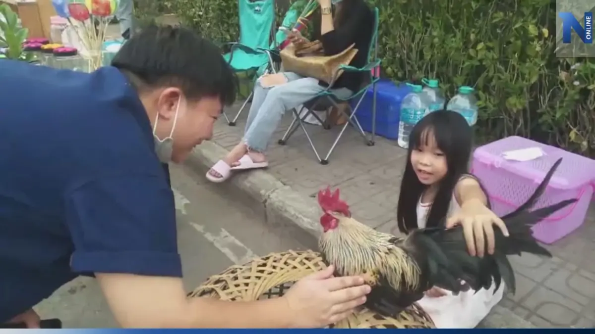 พรีเซนเตอร์ฟันน้ำนม 7 ขวบ ดันยอดขาย 'ไก่แจ้' พุ่ง!