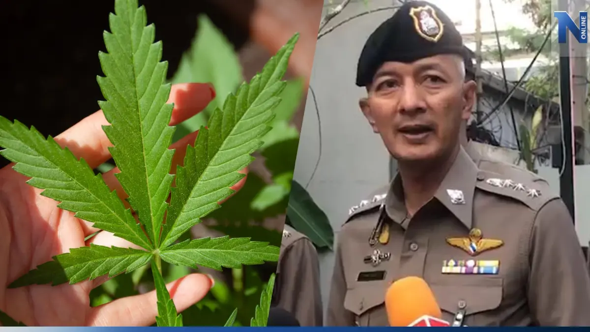 ตร.ยังเฝ้าระวัง แม้ผู้จัดกิจกรรม“วันกัญชาโลก” ยกเลิกงานถ.ข้าวสาร
