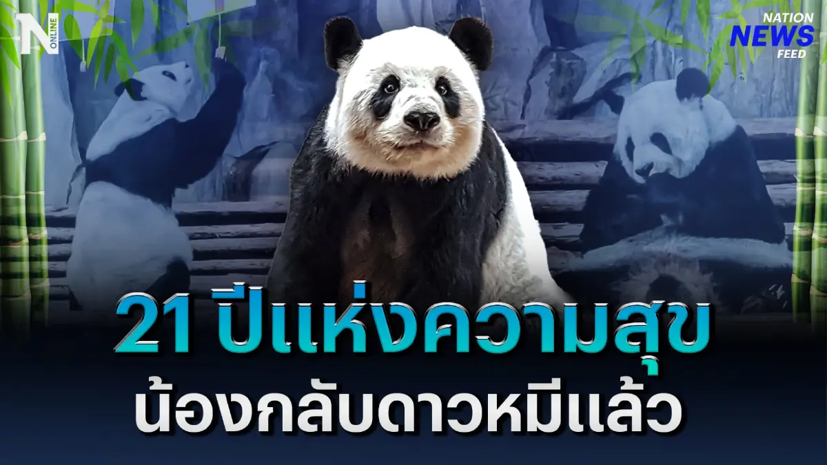 "หลินฮุ่ย" 21 ปีแห่งความสุข น้องกลับดาวหมีแล้ว