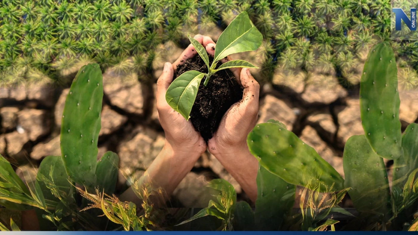 Drought : ภัยแล้งในประเทศไทยกับพืชที่ควรปลูก