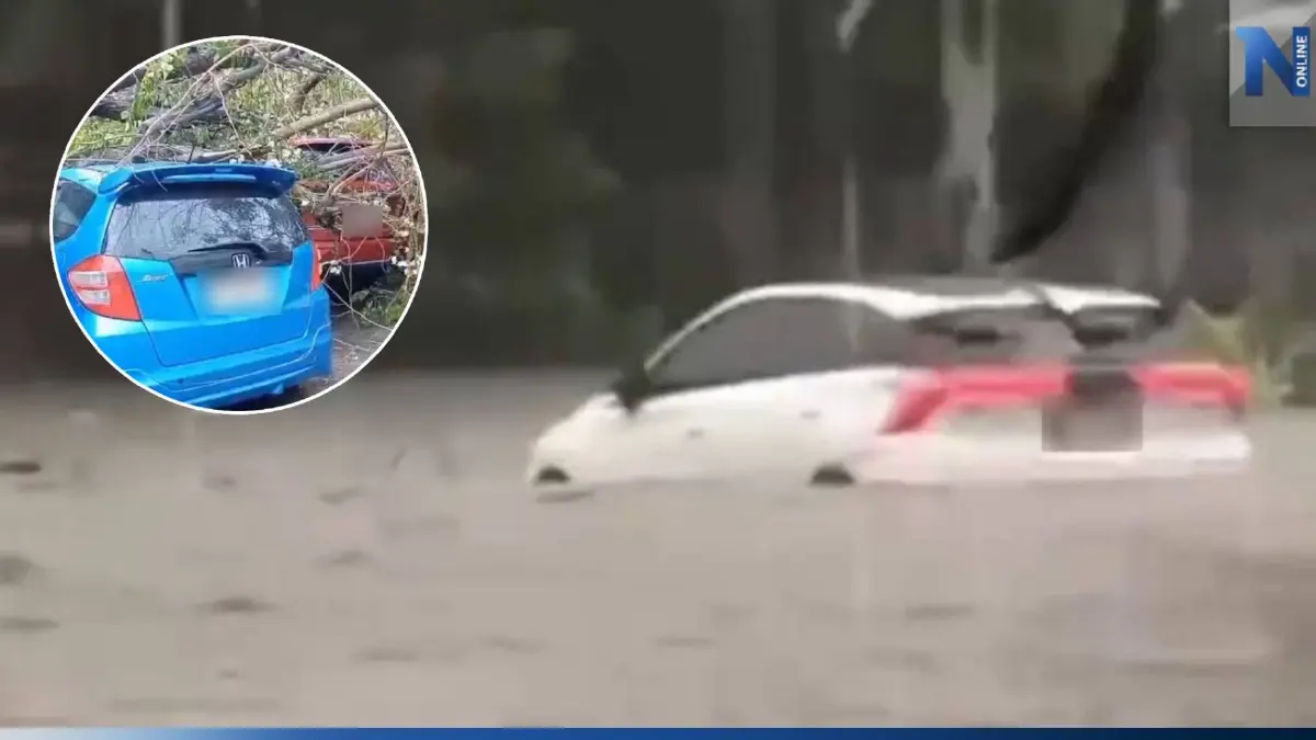 ฝนถล่มศรีราชา น้ำซัดรถลอยไปกับกระแสน้ำ-ต้นไม้หักโค่นทับเก๋งเสียหาย 3 คัน (คลิป)