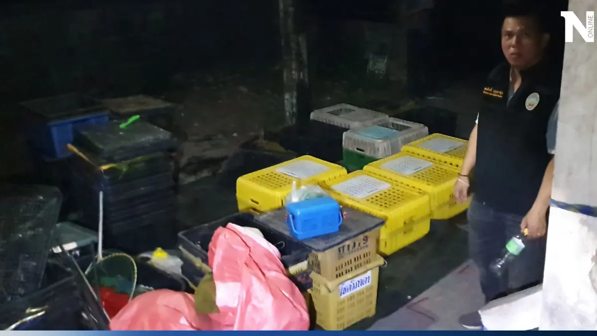 สลดใจ พบลิงแสมนับสิบถูกขังหิวตาย เหตุแก๊งจับลิงไม่สารภาพความจริง สลดใจ พบลิงแสมนับสิบถูกขังหิวตาย เหตุแก๊งจับลิงไม่สารภาพความจริง