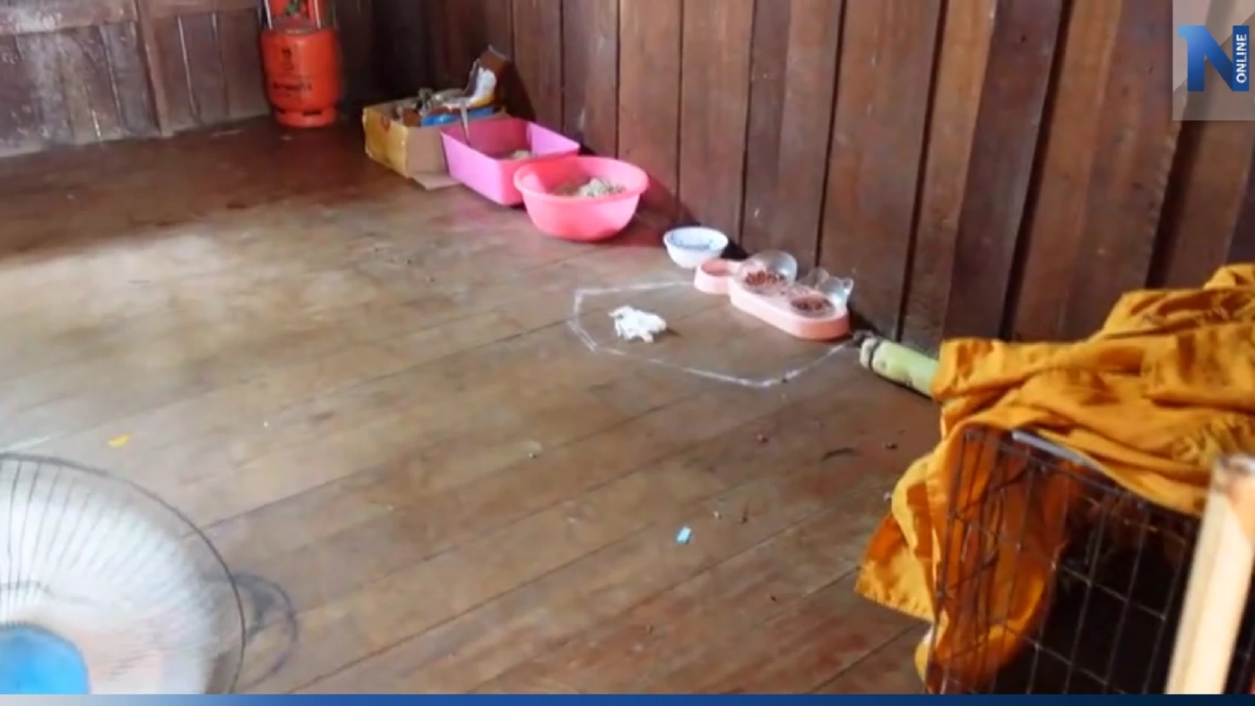 รวบพระโหด รับเลี้ยงแมวจากโซเชียล แต่เอามาฆ่าทารุณ ก่อนเผาทิ้งหลังกุฏิ รวบพระโหด รับเลี้ยงแมวจากโซเชียล แต่เอามาฆ่าทารุณ ก่อนเผาทิ้งหลังกุฏิ