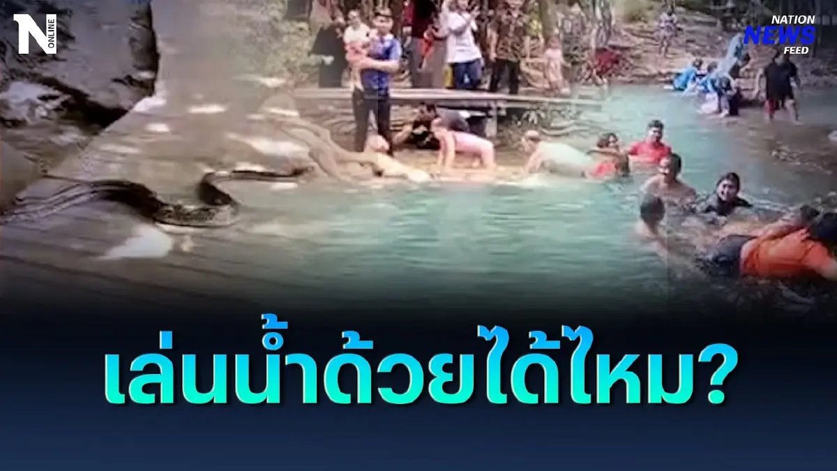 เล่นน้ำด้วยได้ไหม? วงแตก! เมื่องูเหลือมตัวยาว 2 เมตร เลื้อยลงสระมรกต เล่นน้ำด้วยได้ไหม? วงแตก! เมื่องูเหลือมตัวยาว 2 เมตร เลื้อยลงสระมรกต