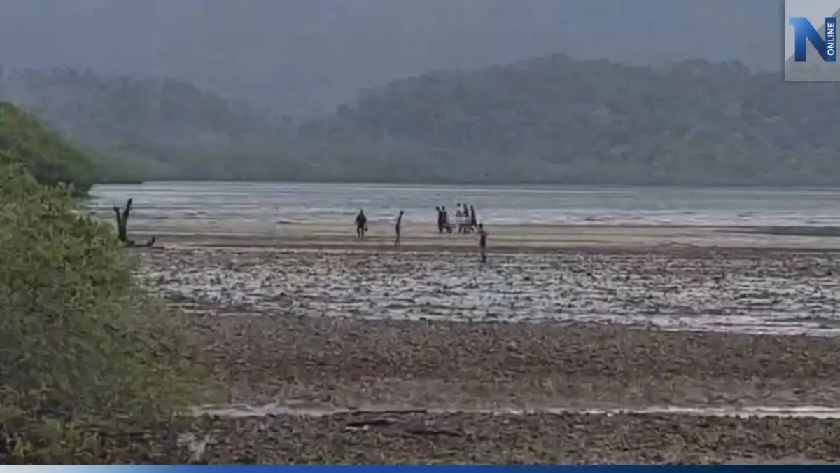 หญิงวัย 39 ออกหาหอยกลางพายุฝน ถูกฟ้าผ่าดับกลางหาดที่เกาะช้าง หญิงวัย 39 ออกหาหอยกลางพายุฝน ถูกฟ้าผ่าดับกลางหาดที่เกาะช้าง