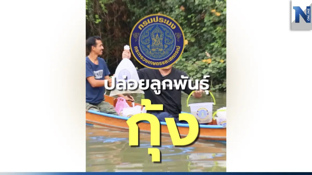 กินได้...อนุรักษ์ได้ พาไปปล่อยลูกพันธุ์กุ้ง ในพื้นที่ประมง สมุทรสงคราม กินได้...อนุรักษ์ได้ พาไปปล่อยลูกพันธุ์กุ้ง ในพื้นที่ประมง สมุทรสงคราม