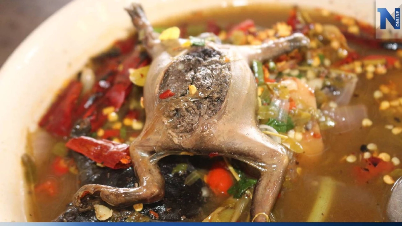 พาชิม ต้มยำอึ่งไข่ใบมะขามอ่อน ฝนแรกของฤดูกาล หากินยาก 1 ปีมีครั้ง