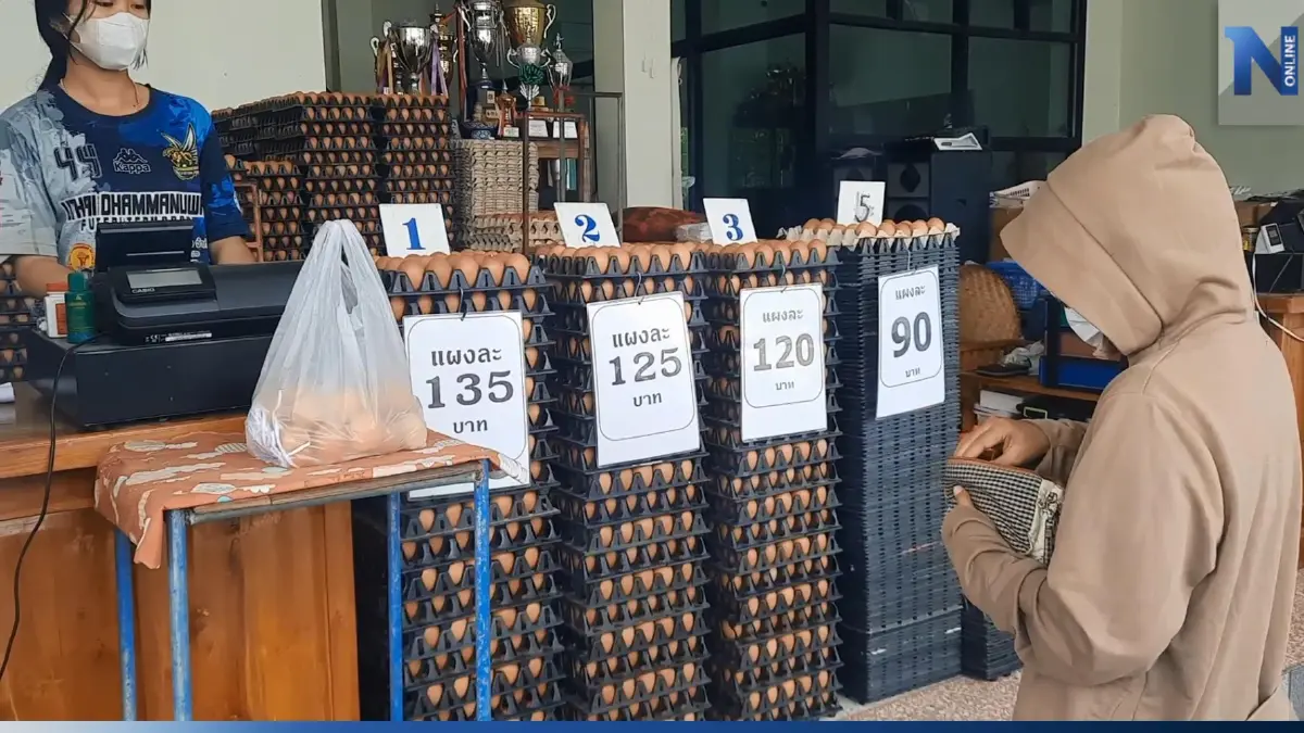 ต้อนรับรัฐบาลใหม่ ราคาไข่ไก่อุทัยธานีขึ้น ชาวบ้านทยอยซื้อตุนไว้ก่อน ต้อนรับรัฐบาลใหม่ ราคาไข่ไก่อุทัยธานีขึ้น ชาวบ้านทยอยซื้อตุนไว้ก่อน