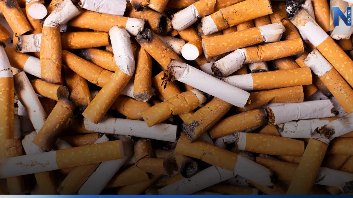 ‘บุหรี่’ ไม่ใช่แค่ทำลายสุขภาพ แต่ยังทำร้ายโลกกว่าที่คิด