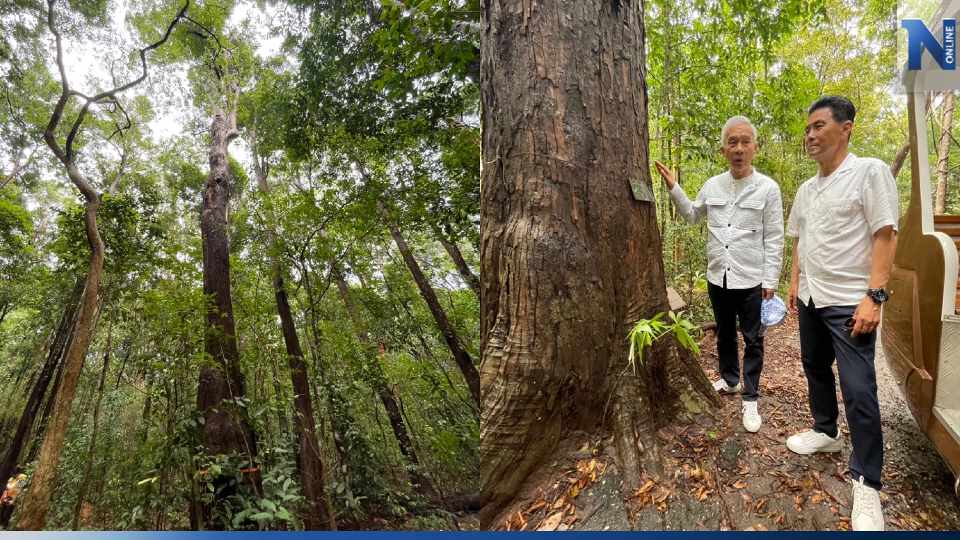 "สุวัจน์"ดันโคราชเป็นดินแดน 3 มงกุฎยูเนสโกโกยรายได้เข้าประเทศ