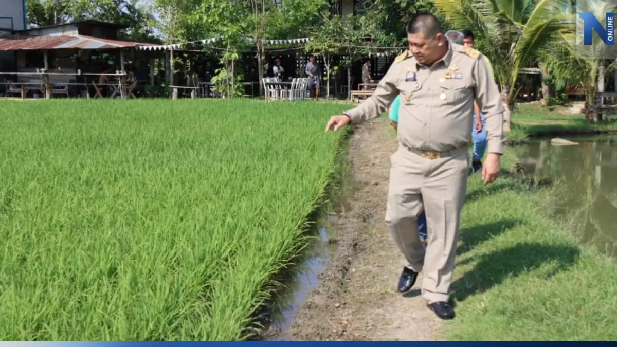 "กรมการข้าว" สั่งตรวจสอบ 2 โครงการใหญ่ "ส่อทุจริต" ลั่นพร้อมลงดาบหากผิดจริง