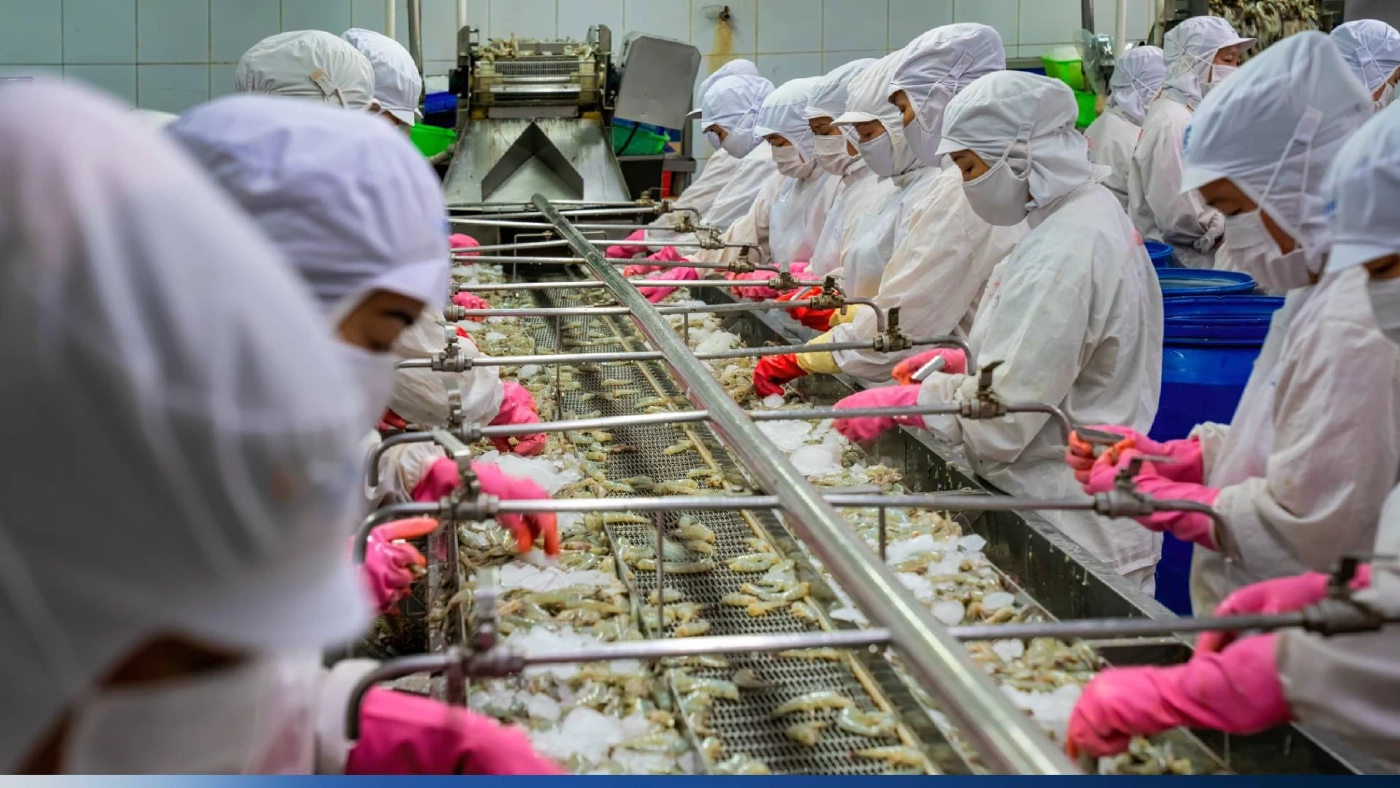 รัฐ เปิดข้อมูลกุ้งไทยผ่านเว็บไซต์ หวังผู้ประกอบการใช้สร้างแต้มต่อส่งออก