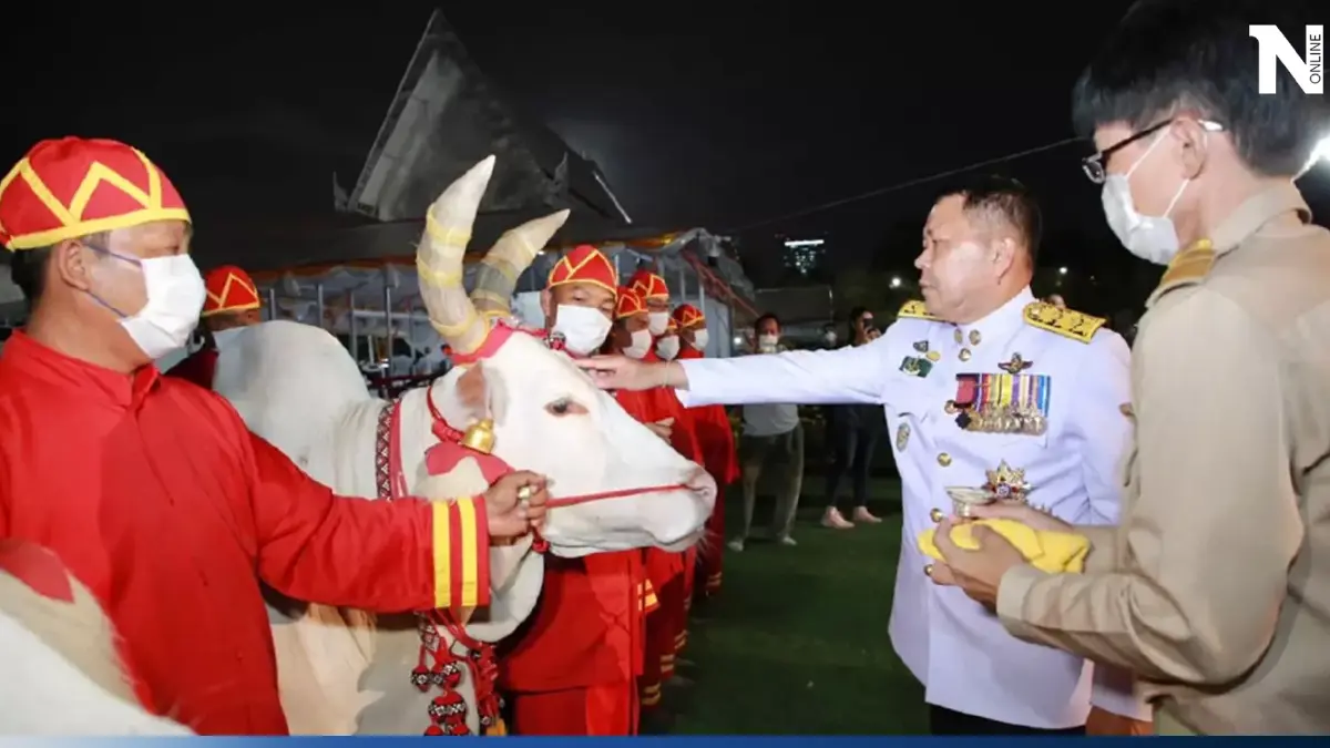 พระยาแรกนา เทพีคู่หาบ ทำพิธีล้างมือพระยาแรกนาและเจิมหน้าพระโค พระยาแรกนา เทพีคู่หาบ ทำพิธีล้างมือพระยาแรกนาและเจิมหน้าพระโค