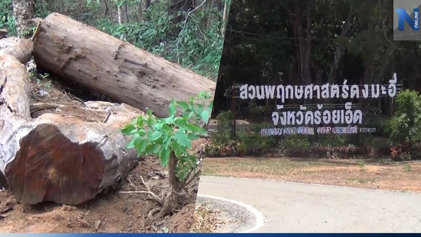 งามไส้! ไอ้โม่ง 30 คน บุกปล้นไม้พะยูงของกลาง จากสวนพฤกษศาสตร์ จ.ร้อยเอ็ด